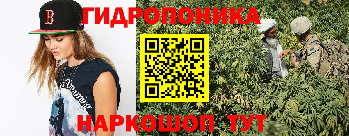 Тольятти  Канабис сатива  Вход с VPN  Марихуана план  Конопля тримм 